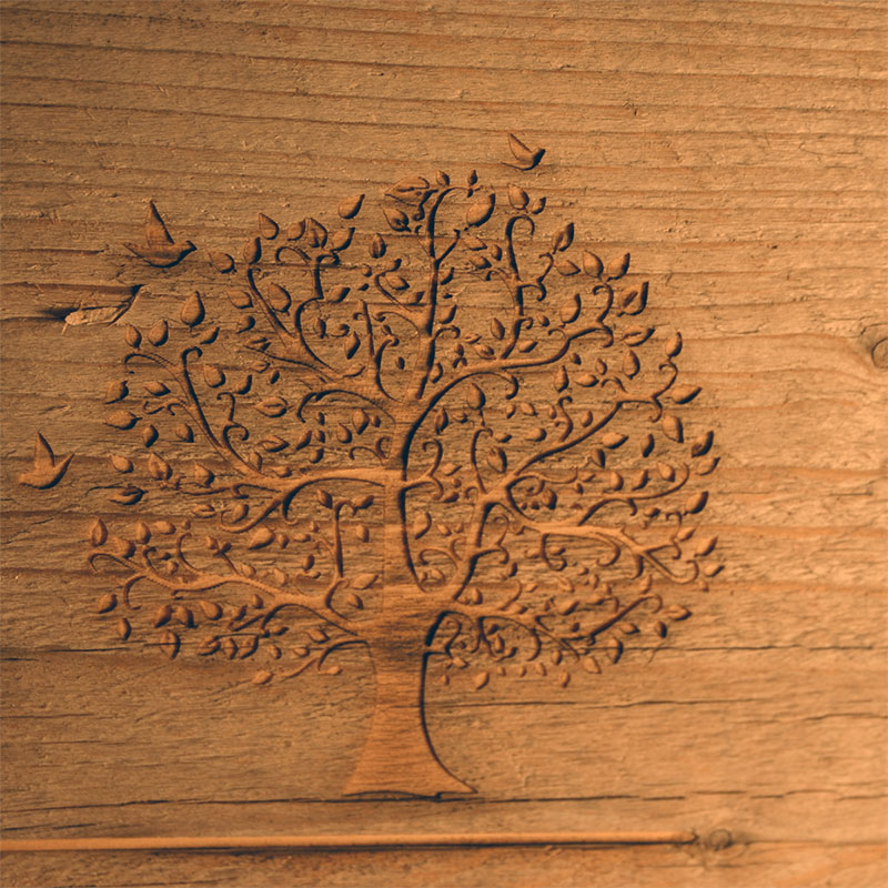 Laser engraving of wood